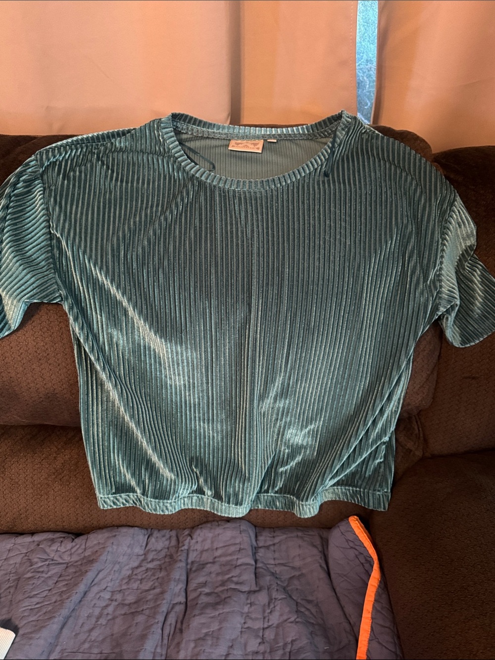 Dantelle Teal Ribbed Velvet Short-Sleeve Top